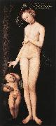 CRANACH, Lucas the Elder Venus and Cupid dsf Spain oil painting artist